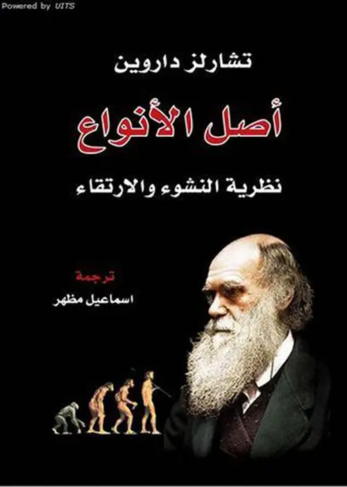 325680.webp