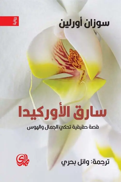 344305.webp