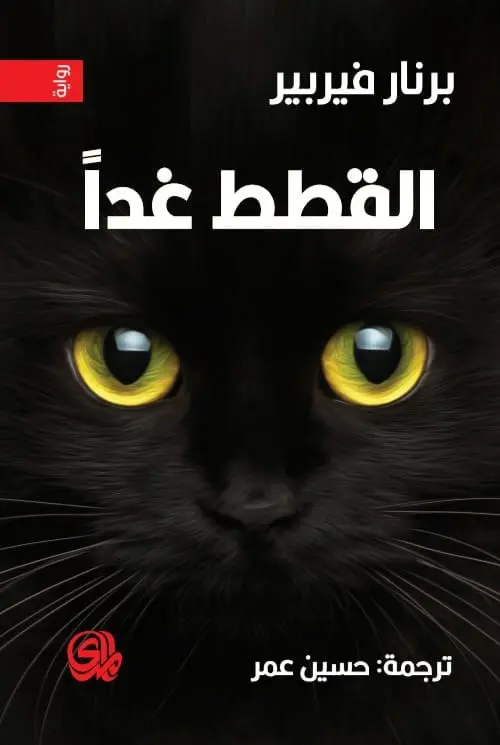 373569.webp