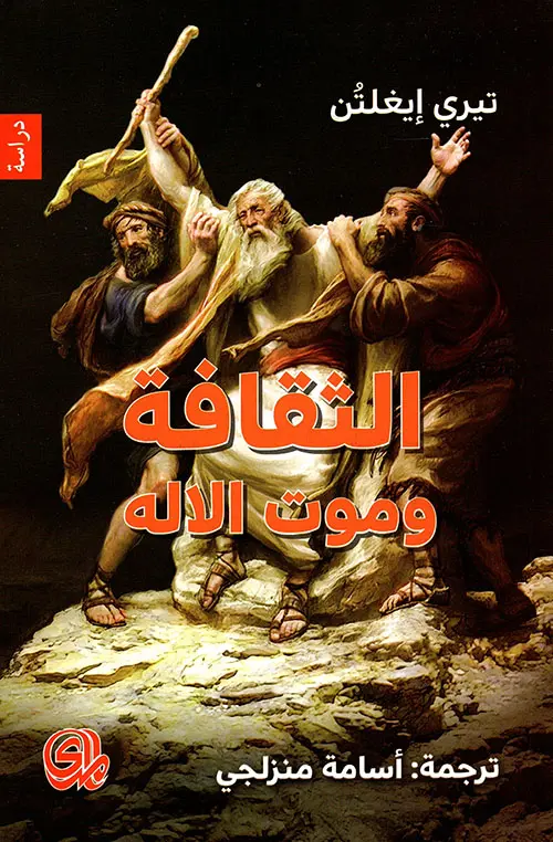 312646.webp