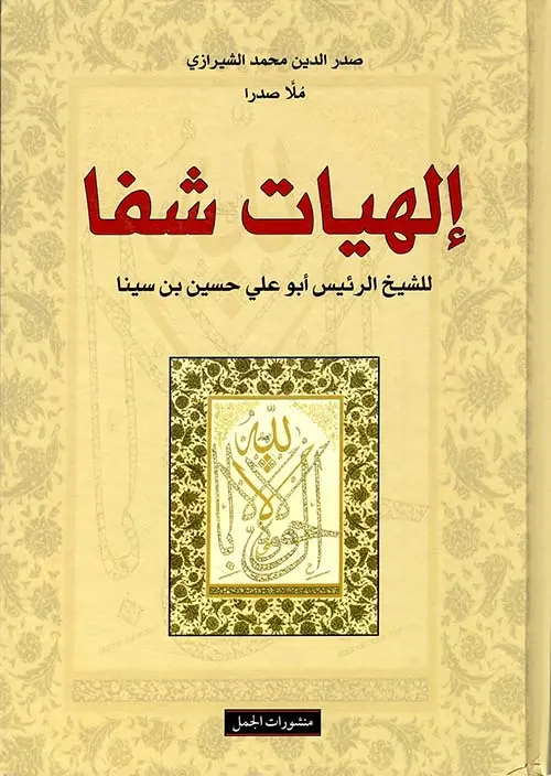 213587.webp
